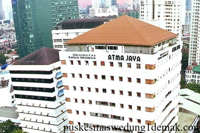 Beasiswa Reguler Atma Jaya: Syarat dan Cara Daftar
