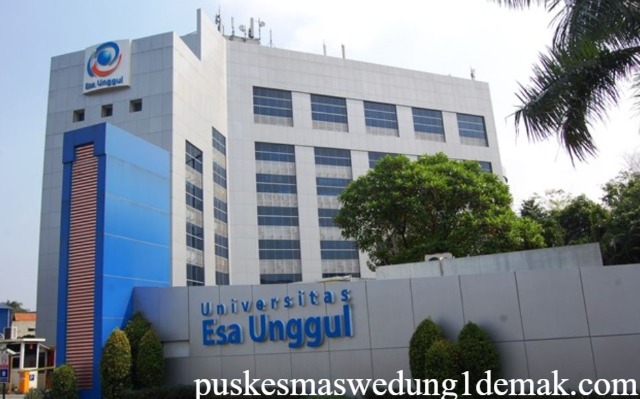 Macam Beasiswa Universitas Esa Unggul Terbaru 2026