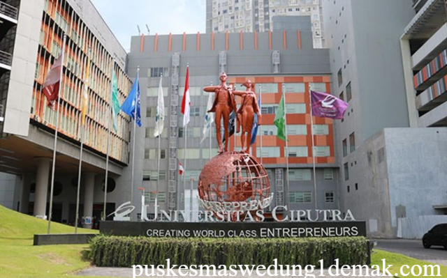 Beasiswa S1 Universitas Ciputra untuk Lulusan SMA