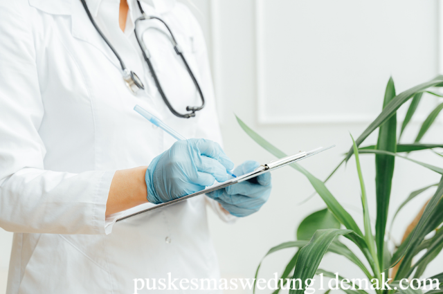 Beasiswa S2 Kebidanan di Indonesia